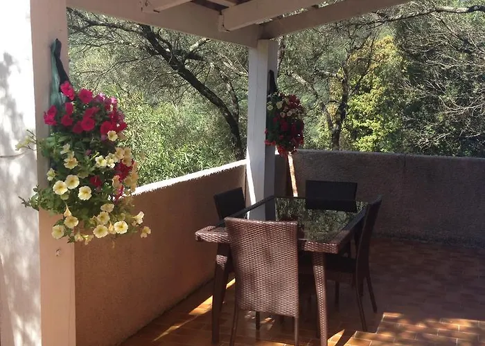 Maredda 1 萨尔泰纳